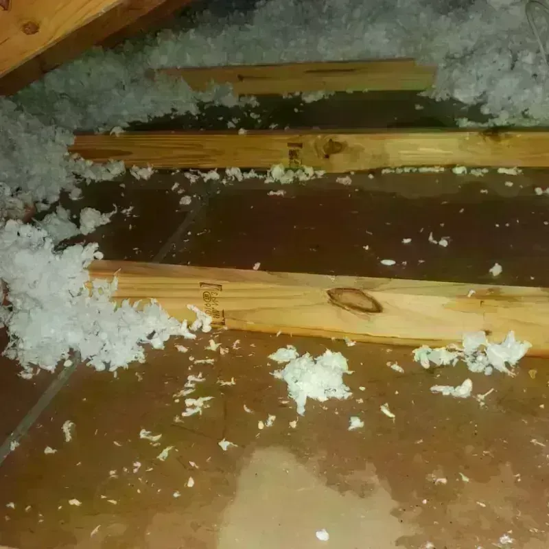 Attic Water Damage in Hancock County, WV