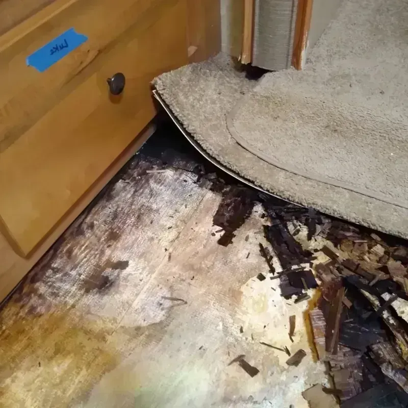 Wood Floor Water Damage in Hancock County, WV